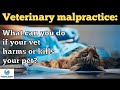 what can you do about veterinary malpractice animals today radio