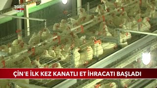 Türkiye'den Çin'e İlk Kez Kanatlı Et İhracatı Başladı