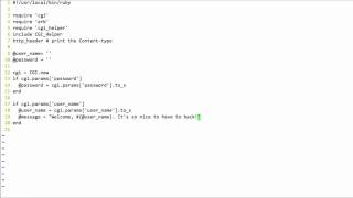 Ruby with CGI, ERB and HTML Forms