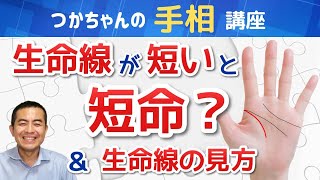 【手相占い】生命線が短い人は短命？生命線の見方も凄く簡単に分かる！！