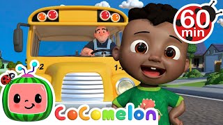 Wheels on the Bus + More! | CoComelon - It's Cody Time | CoComelon Nursery Rhymes