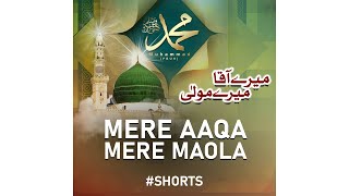 Mery Aqa Mery Mola - Hafiz Asmatullah Cheena - Peace Studio Shorts #shorts