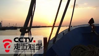 《走近科学》 波浪发电 20190605 | CCTV走近科学官方频道