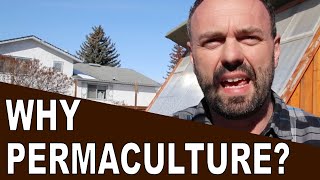 Why Permaculture: Food Security, Safety, Resilience and so much more!