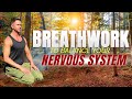 Using Breathwork To Balance The Nervous System - Taoist Breathing Technique