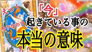 【緊急😳❗️】「今」起きている事の本当の意味🌈✨個人鑑定級タロット占い🔮⚡️