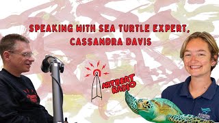 Speaking with Sea Turtle Expert, Cassandra Davis: Artbeat Radio