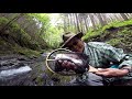 奥多摩のヤマメ　なぜか魚影が濃い野生魚 fishing in tokyo japan