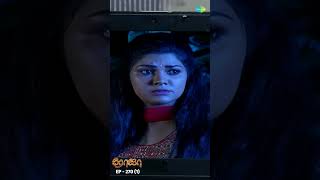 ROJA Serial Shorts Ep 270 - 1 | Priyanka, Sibbu Suryan | Saregama TV Shows Tamil | #shorts #ytshorts