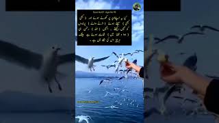 quran quotes in urdu | quran verses in urdu | quran motivational verses in urdu |quran quotes