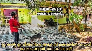 അക്രമി ഇവനെ കണ്ട് ഓടി മരത്തിൽ കയറിയാൽ! |What if stranger try to escape by climbing a tree? |