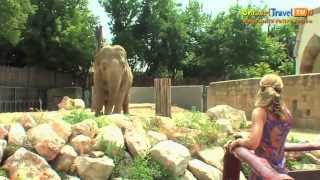 Budapest Zoo, Hungary - Unravel Travel TV