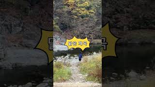 대형놀이터/맑은계곡/키즈캠핑장/‘경주산내캠핑일기‘ #camping #키즈캠핑장 #캠핑 #경주캠핑장 #경주산내캠핑일기 #대형놀이터캠핑장