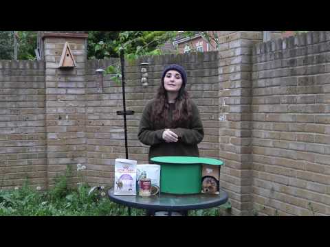 How to attract hedgehogs to your garden How to attract hedgehogs to your garden