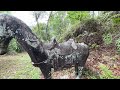 探尋廣東第一大墓，深山隱秘寶藏，驚險之旅exploring guangdong s largest tomb hidden in the deep mountainsa thrilling journ