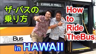 How To Ride The Bus in Hawaii (Rap by Akiramen) [MyHawaii]