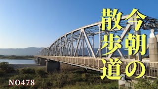 今朝の散歩道|阿波中央橋