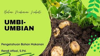 UMBI-UMBIAN (Pengetahuan Bahan Makanan Nabati)