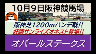 【競馬予想】オパールステークス～ﾊﾝﾃﾞに恵まれた3歳馬に注目～2022年10月9日 阪神競馬場