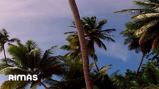 Bad Bunny - Tití Me Preguntó (360° Visualizer) | Un Verano Sin Ti