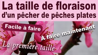 La taille du pêcher : La taille de floraison du pêcher à pêches plates