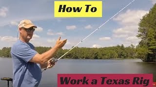 How To Work A Texas Rig Worm