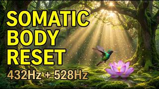 Sylvan Sanctuary | 528Hz DNA Repair, Stuck Energy Release & Cellular Balance