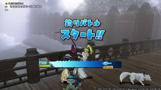 ドラクエ10 ver6.1 【釣り】追加魚全種釣った（ネタバレ注意）キングサイズも釣れた  DQ10