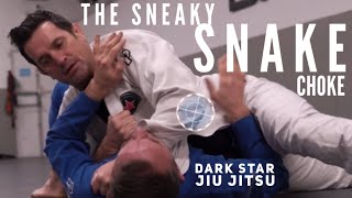 THE SNEAKY SNAKE CHOKE 🐍 with Professor Paul Bridges - Dark Star Jiu Jitsu