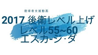 途中でまさかの！？2017 後衛レベル上げレベル55~60　FF11