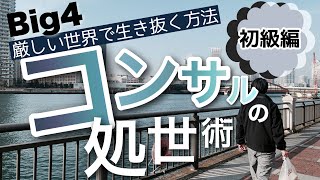 【Big4】底辺コンサルの仕事術【コンサル以外の人にも役立つ‼】