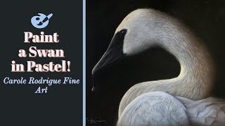 Painting a Swan in Pastels - Speed Painting Wildlife Art Demo