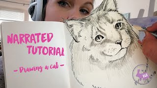 How to Draw a Cat - Step-by-Step Tutorial