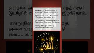 அல்லாஹ் நம்மை உயர்த்தி வைப்பான் ✅ #islamictamilshorts #tamildawah #tamilbayans #love