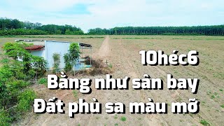 222. Siêu Rẻ! Mãnh này làm trại heo ngon lành sổ sẵn CLN hoặc trồng sầu riêng cây ăn trái