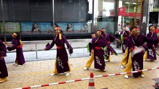 浜っ子2000　ひめじ良さ恋　２０１１　前日祭