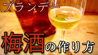 【ブランデー】梅酒の作り方　ブランデー　南高梅　青梅