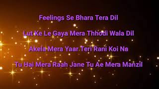 Feeling se bhara Mera dil lyrics full song / vatsala female cover / English subtitles /Hindi song