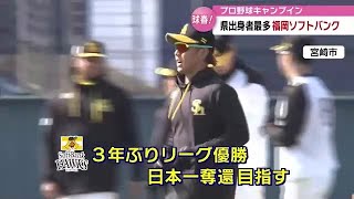 福岡ソフトバンクがキャンプイン　日本一奪還へ！県出身選手の活躍に注目　大分 (23/02/01 18:30)