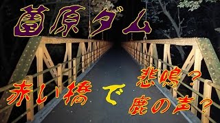 心霊スポット  薗原ダムの赤い橋 怖くて渡れない (汗