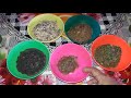 পাঁচ রকমের ভর্তা দিয়ে খুদের ভাত cooking blog ।।