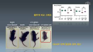 [성과물]비전형적 단백 이동경로를 통한 CFTR돌연변이 단백의 교정