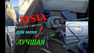 Xesta Black Star Hard B85MHX для меня ЛУЧШИЙ ДЖИГОВИК