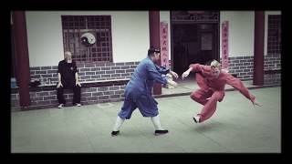 Wudang Master Tian Liyang shows tai chi chuan