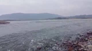 The Breech Porlock Marsh Flood Tide Nature Film