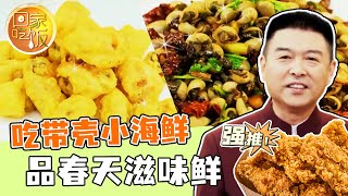 《回家吃饭》酥炸海虹 辣炒泥螺 葱烧海螺 吃带壳小海鲜 品春天滋味鲜 20240312 | 美食中国 Tasty China