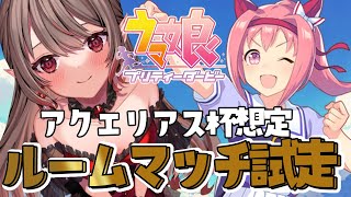 【ルムマ】育成途中歓迎！１頭出しOK！アクエリアス杯想定試走会！【ウマ娘/50本】