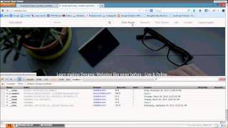 JavaScript Screen Location and Navigator Objects 4/4