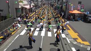 【4K公式】 東京花火「あそばせ」 / 第66回よさこい祭り（高知よさこい2019）1日目 - 万々競演場②