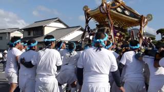 2014 やわたんまち・滝の口下立松原神社の神輿が大きく揺らすところ